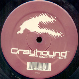 Defenders Of The Faith : The Fallen (12")